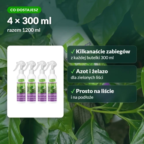Regenerator Vegano do roślin zielonych: co dostajesz