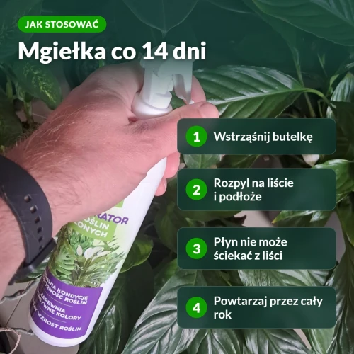 Jak stosować Regenerator Vegano: mgiełka co 14 dni
