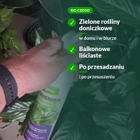 Regenerator Vegano: do jakich roślin