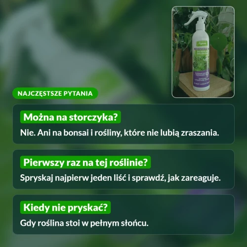 Regenerator Vegano do roślin zielonych: najczęstsze pytania