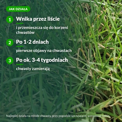 Jak działa Chwastox Complex na chwasty