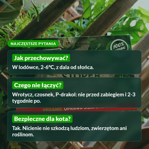 Ziemiórka Stoper: najczęstsze pytania