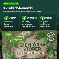Ziemiórka Stoper: przygotowanie w 3 krokach