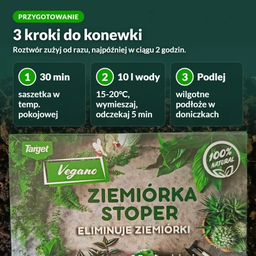 Ziemiórka Stoper: przygotowanie w 3 krokach