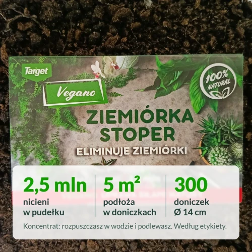 Ziemiórka Stoper 2,5 mln: na ile wystarczy