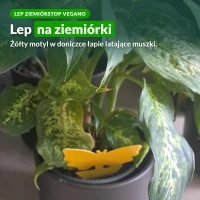 Lep na ziemiórki ZiemiórStop Vegano