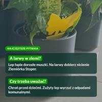 Lep ZiemiórStop: najczęstsze pytania