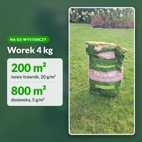 Trawnik samonawożący Vegano: na ile wystarczy