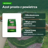 Jak działa trawnik samonawożący: azot z powietrza