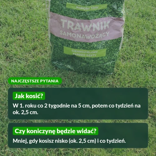 Trawnik samonawożący: najczęstsze pytania