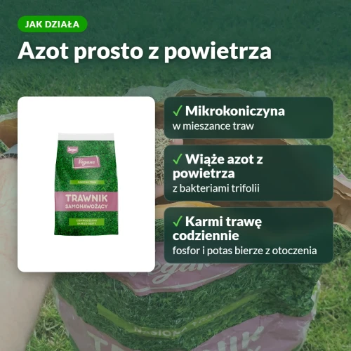 Jak działa trawnik samonawożący: azot z powietrza