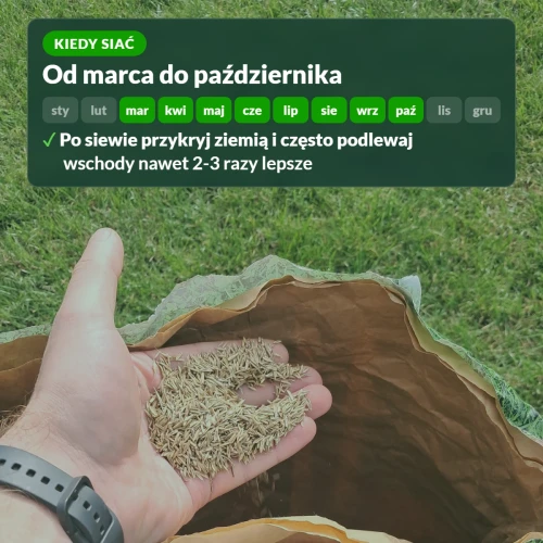 Kiedy siać trawnik samonawożący: od marca do października