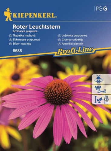 Jeżówka 'Roter Leuchtstern' – Purpurowa – Nasiona – Kiepenkerl - przód