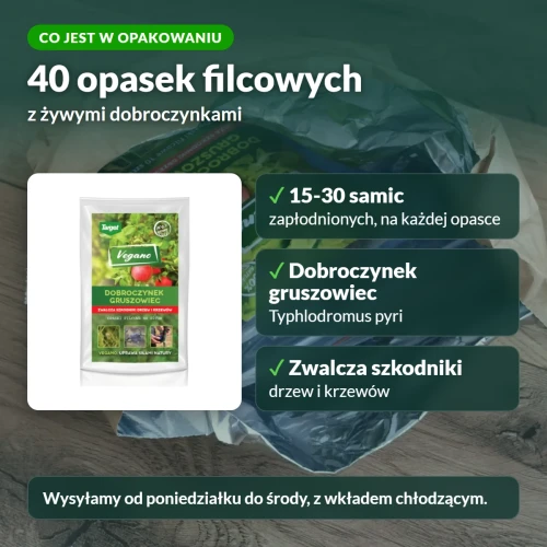 Dobroczynek gruszowiec Vegano: co jest w opakowaniu