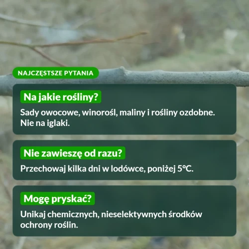 Dobroczynek gruszowiec: najczęstsze pytania