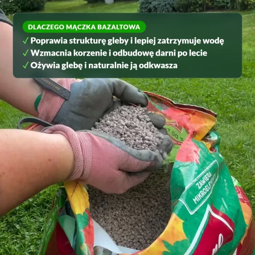 Dlaczego mączka bazaltowa w nawozie jesiennym