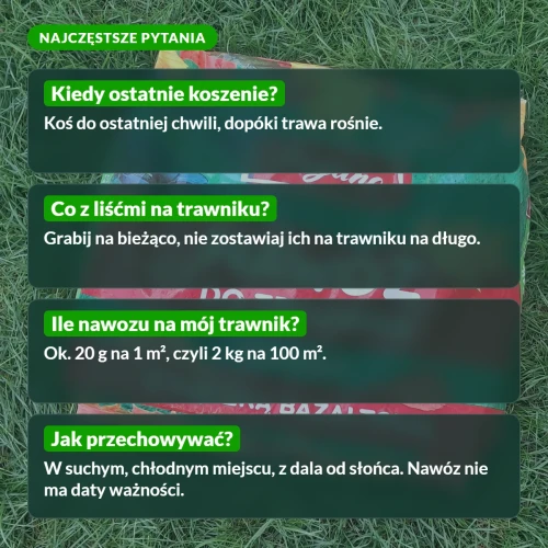 Nawóz jesienny: najczęstsze pytania i porady