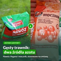 Zestaw azotowy do trawnika: nawóz wysokoazotowy Vegano i mocznik