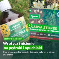 Zestaw: wrotycz Mikroaktiv i nicienie Larva Stoper na pędraki i opuchlaki
