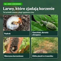 Zestaw na pędraki, opuchlaki i drutowce