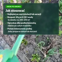 Jak stosować P-Drakol