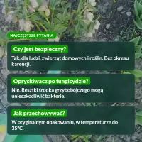 P-Drakol: najczęstsze pytania