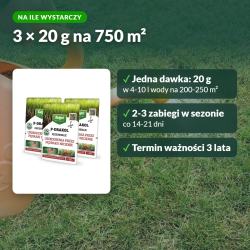 P-Drakol: na ile wystarczy