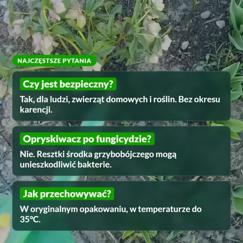 P-Drakol: najczęstsze pytania