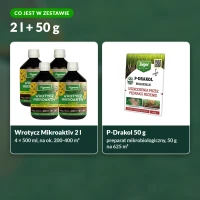 Zestaw wrotycz + P-Drakol: co jest w zestawie