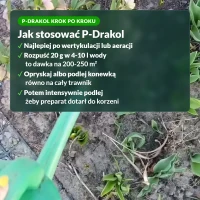 P-Drakol: jak stosować