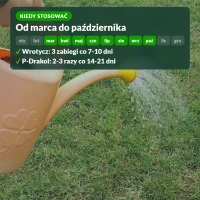 Kiedy stosować wrotycz i P-Drakol