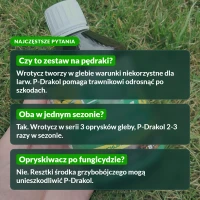 Zestaw wrotycz i P-Drakol: najczęstsze pytania