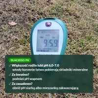 Dlaczego warto mierzyć pH gleby