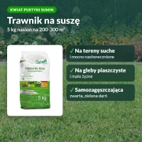 Trawa Kwiat Pustyni Sumin: trawnik na suszę, na ile wystarczy