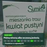 Kiedy siać trawę Kwiat Pustyni