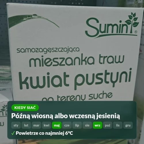 Kiedy siać trawę Kwiat Pustyni