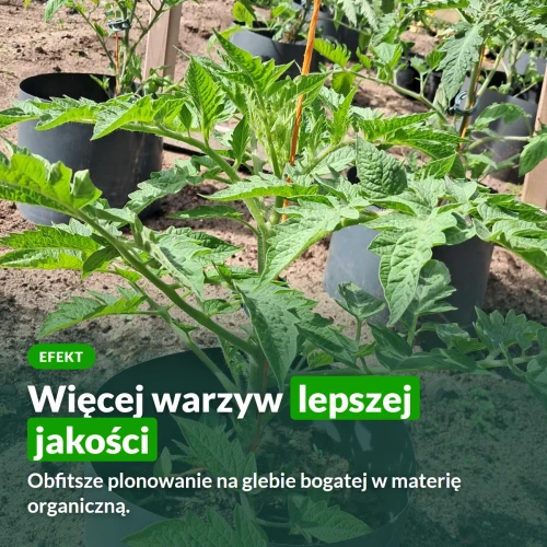 Naturcomplet-G: obfitsze plonowanie
