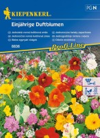 Kwiaty Pachnące Jednoroczne Mix – Nasiona – Kiepenkerl - przód