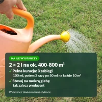 Wrotycz ekstrakt: na ile wystarczy
