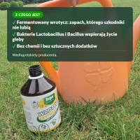 Wrotycz ekstrakt: z czego jest