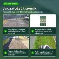 Jak założyć trawnik z trawy na rolce, 4 kroki