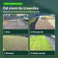 Trawa na rolce u klienta: od ziemi do trawnika
