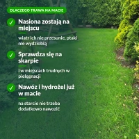 Dlaczego trawa na macie