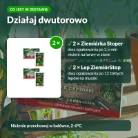 Zestaw Ziemiórka Stoper i lep ZiemiórStop: co jest w zestawie