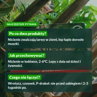 Zestaw na ziemiórki: najczęstsze pytania