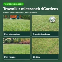 Trawnik z mieszanek 4Gardens w naszym ogrodzie
