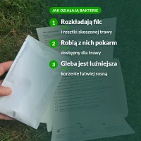 Jak działają bakterie w AeroGrass