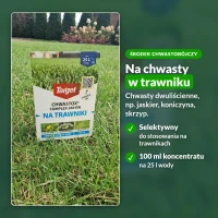 Chwastox Complex 260 EW na chwasty w trawniku