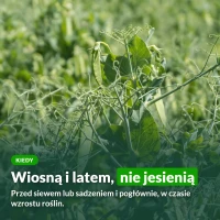 Kiedy stosować mocznik: wiosną i latem