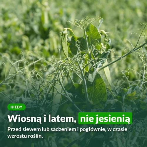 Kiedy stosować mocznik: wiosną i latem